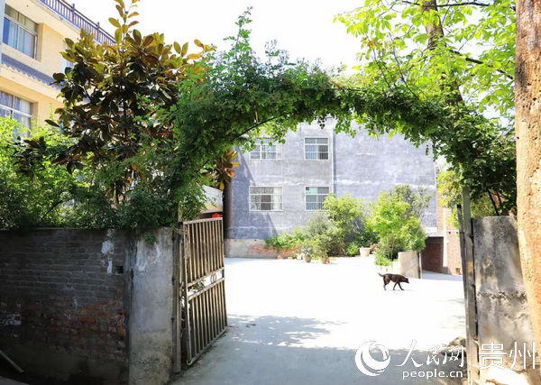  毕节■毕节金海湖新区：落实十户联动 提升人居环境