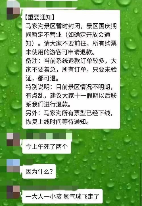 痛心！景区氦气球绳断裂飞走，妈妈和3岁孩子不幸空中坠亡！5名涉