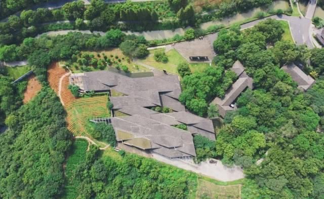  「究竟」云看花，中国美丽高等院校究竟看哪儿？