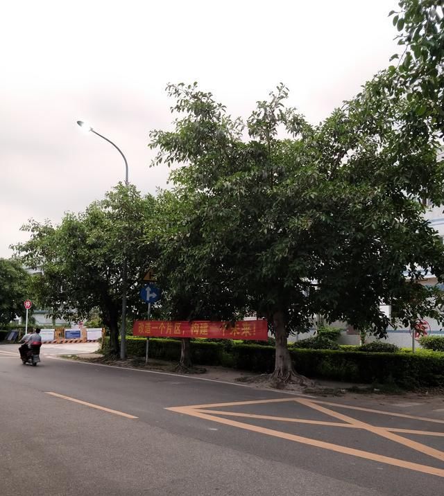 深圳沙井某工业城拆迁，挂满横幅喷上拆字，唯留宗祠或许这是文化