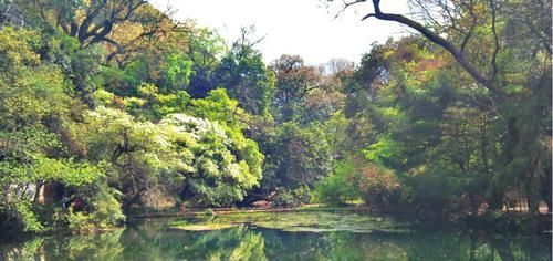  『没想到』跨苍山过洱海，没想到这里隐藏着十年前的大理