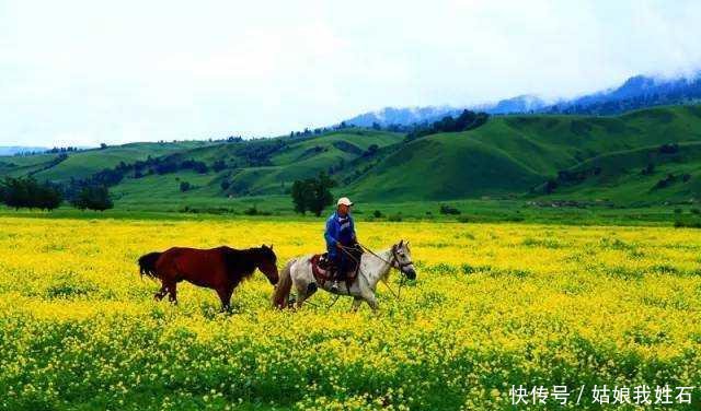 独库公路，媲美318川藏线！去一次震撼一次