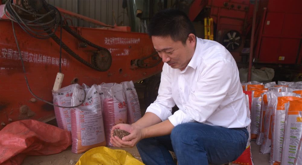 安徽农民种植珍稀品种,亩收入5000元,为何遭