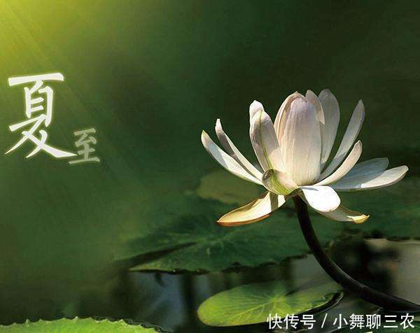 2018年夏至是几月几号?夏至是什么意思,有什