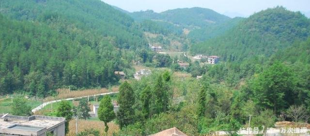 农民手中这“东西”能换15万元，专家不解，为什么都没人愿意换