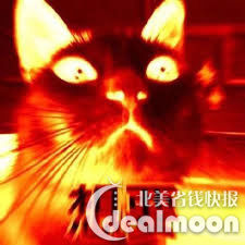 还没试过转运?你想知道的一切都在这里了