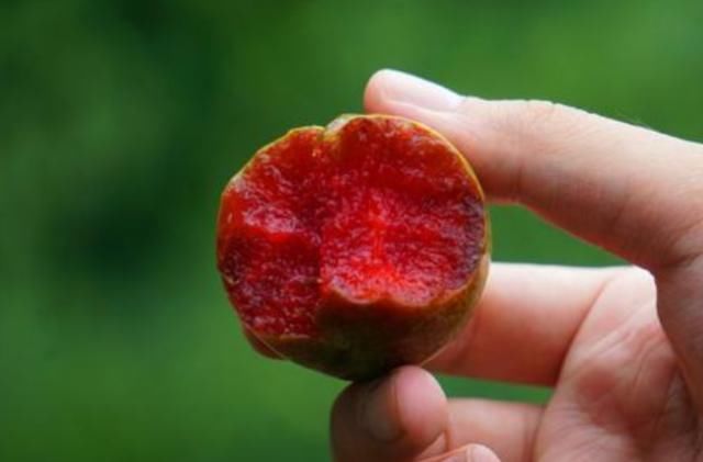  『适合』这水果现在最适合吃了！这个比玻尿酸好！几天吃一次，肌肤水嫩Q弹！