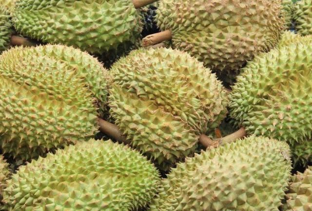 “榴莲事件”让泰国惊慌，对此出台新政，如不遵守将有牢狱之灾