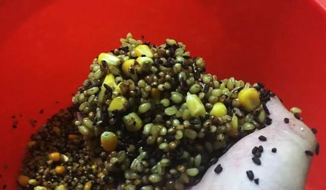  『自制』在家自制窝料，不注意这3点，做出来的窝料不诱鱼还驱鱼！