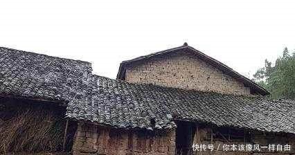 主动退出宅基地，可拿20万补偿，农民为何不参与专家说出实情
