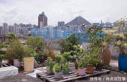 游客发现国外顶楼卖得最贵, 却在中国无人问津, 这到底为什么呢