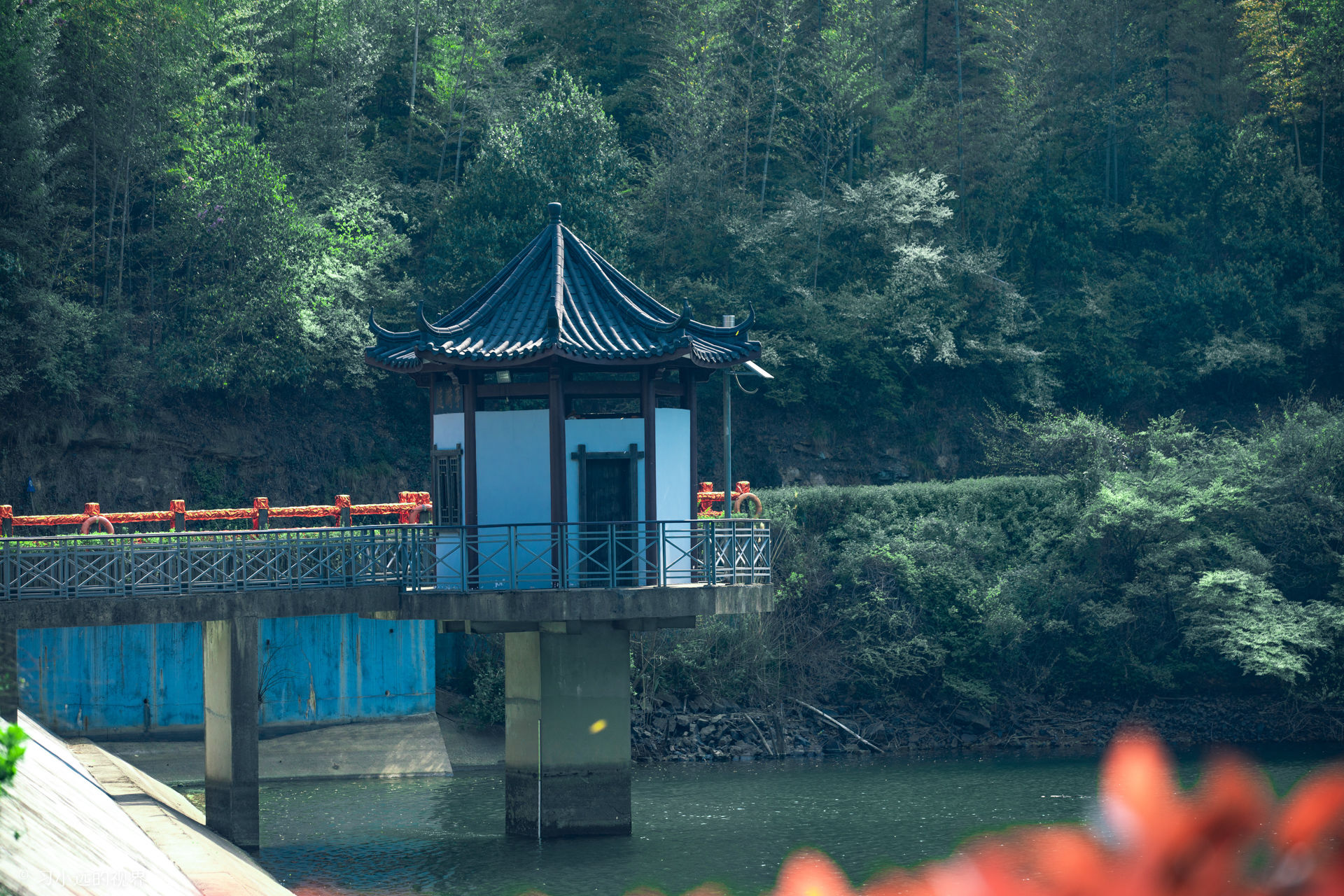 竹海温泉，三黑三白，游在天目湖的两日里