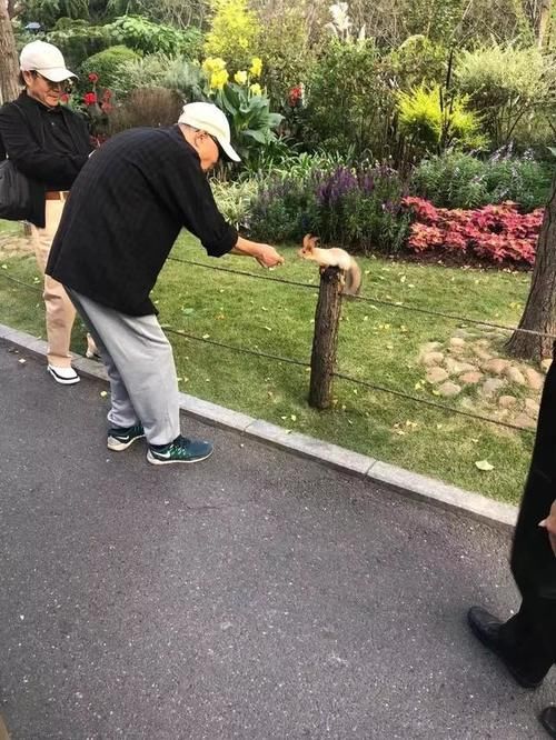 去公园的去公园