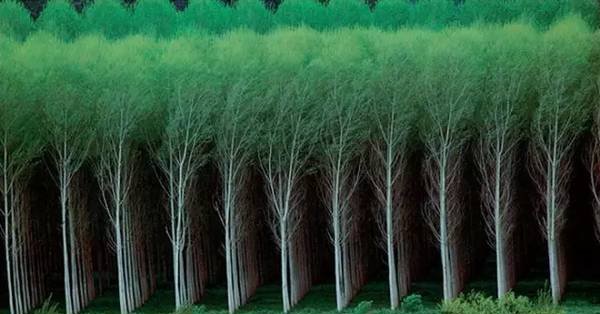 没有PS我怀疑我看了张假照片，那些年让人惊叹的真是照片