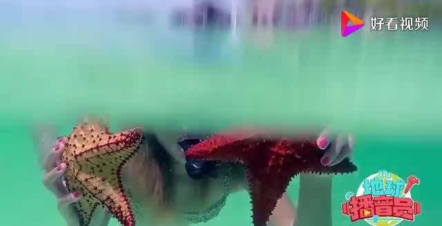 这个海岛，曾用1.3万高价签证费拒绝中国人，如今免签求中国人去