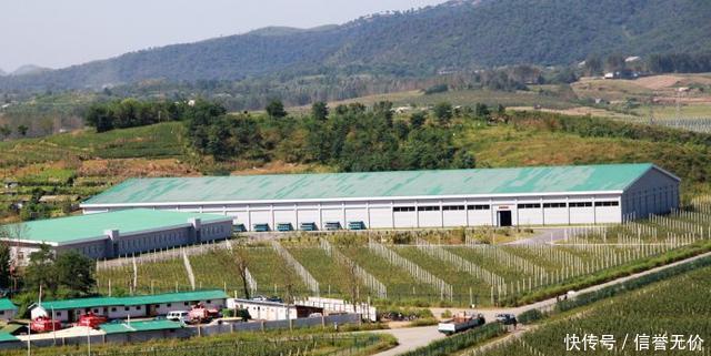  世外桃源|朝鲜有个地方, 按构想建成一个“社会主义世外桃源”,