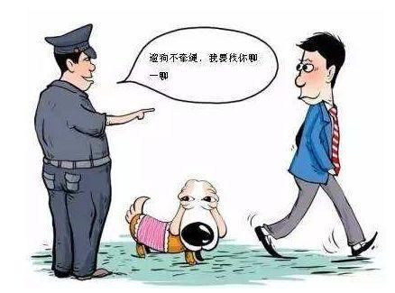 毒狗事件刷爆朋友圈，“当事人”终发声！