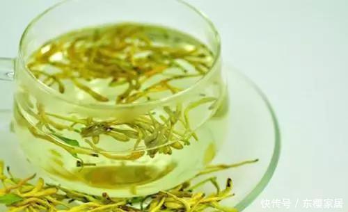 『养花』花养人,人养花,养1盆祛燥降火,能观赏,能食用