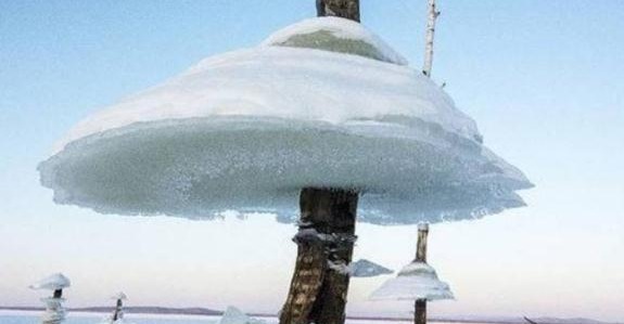 俄罗斯干干净净的水库，一夜之间突然出现“冰蘑菇”？