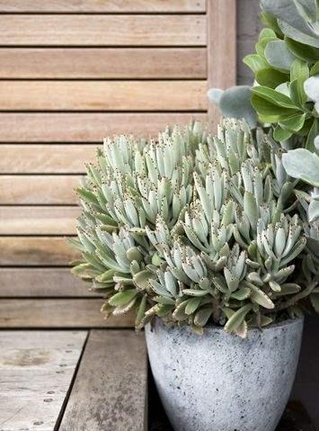 庭院不需太奢华，或一盆花，或一个老物件就能让庭院惬意起来