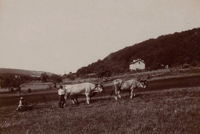 老照片:1870年法国乡村风情