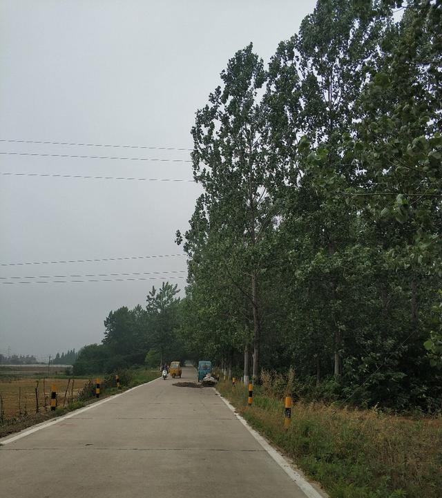 稀巧:正午口稀巧换点,又遇电网肆虐抢鱼忙