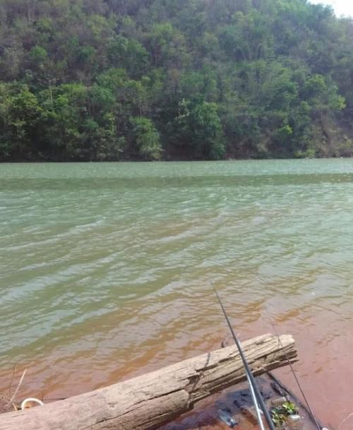  「老钓位」深水钓位和浅水钓位哪个比较藏鱼？照我这样选，深水浅水都能连竿