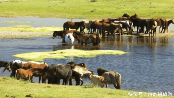 从中国独立出快100年的外蒙古，现在究竟如何？驴友道出实情！