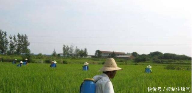 农村这个东西，从7月起禁止使用了，被发现了罚款2000！