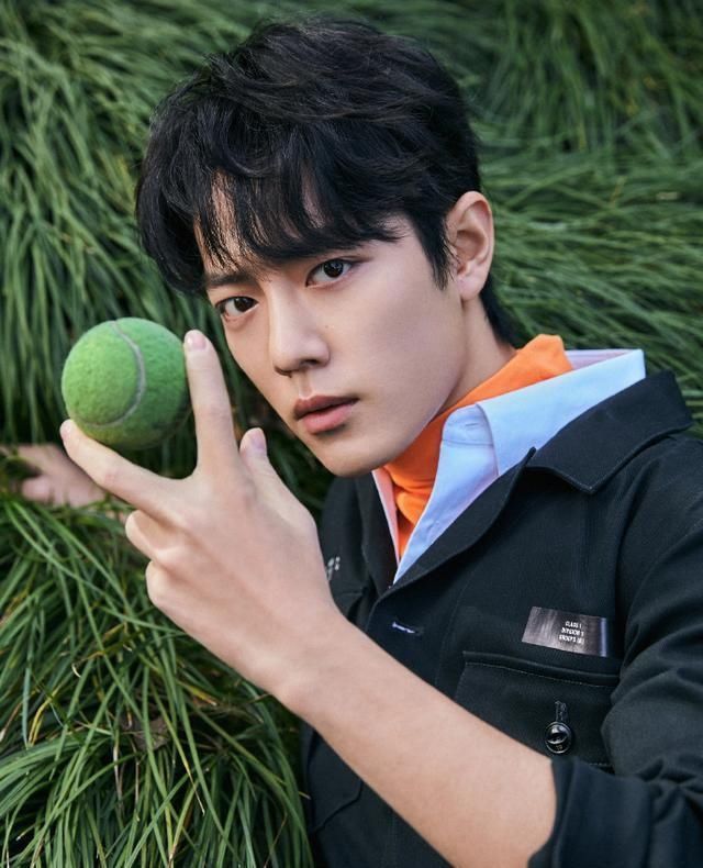 肖战还会演庆余年