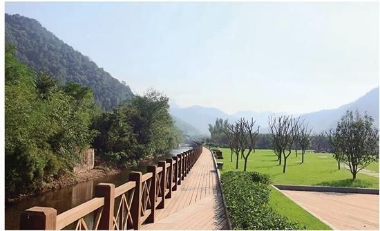 乡村振兴开新局 改革创新结硕果