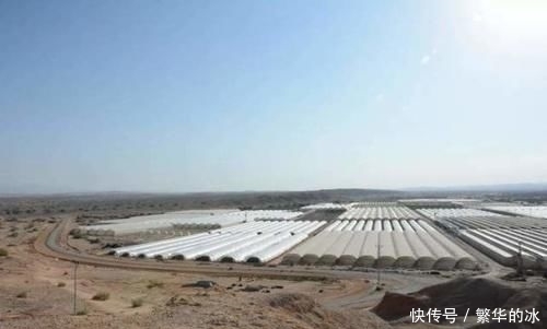  [中国]中国沙漠种树，以色列沙漠建鱼塘，年产1700吨，吃不完还