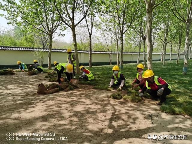  「迎接」迎接十四运 | 美景正在加载，花园浐灞敬请期待！