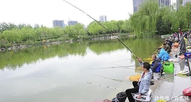  【食物】钓鱼技巧，野外该如何钓鲤鱼
