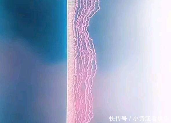 让人感到震惊的28张照片, 都不是P的