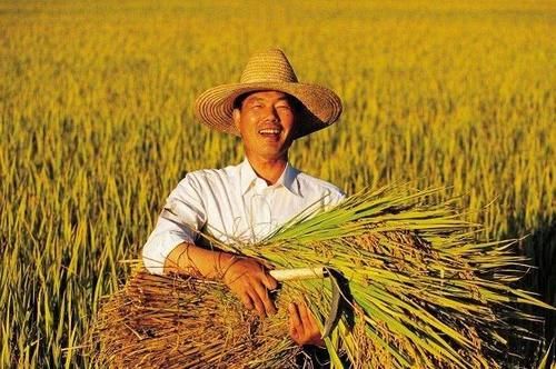  严惩@农村“3查行动”开启，这3种违规行为，一个也不会落下，抓