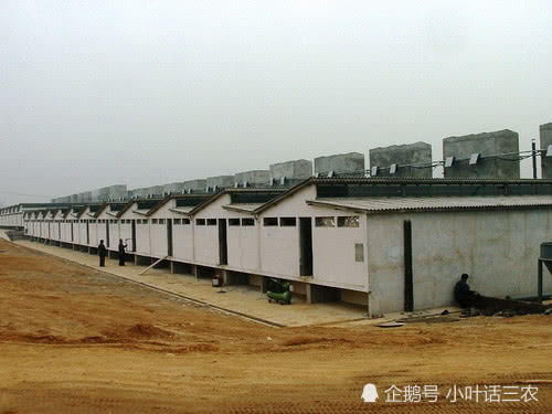  猪舍|养猪不再盖猪舍，这样建造猪棚，不仅成本低还干净卫生