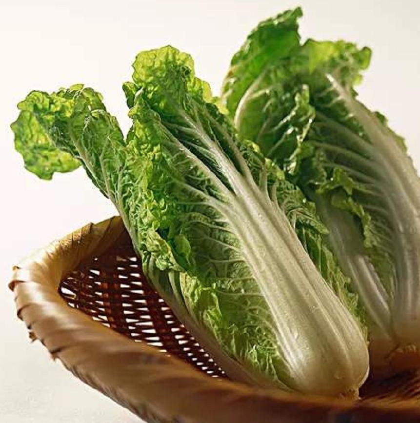  「都是可以」阳台种盆娃娃菜，简单好养，俩月就收获，全家吃上放心养生菜
