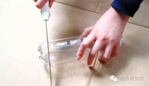 能力■塑料瓶的园艺小创意,考验动手能力的时候到了