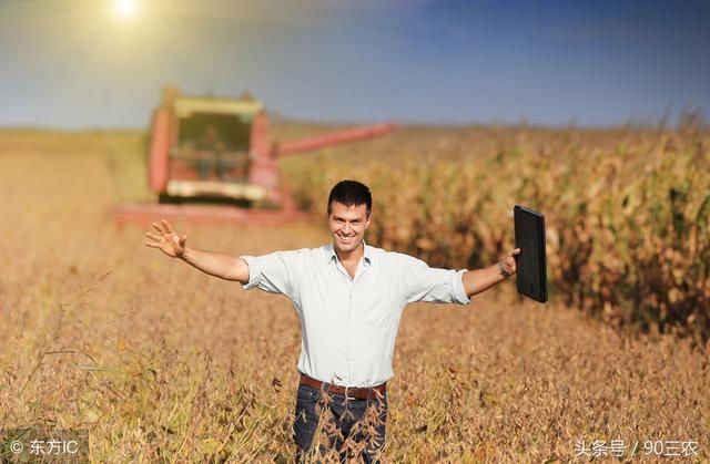 农业农村部今日粮食行情：大豆和玉米价格下调，大米价格稳定