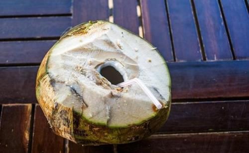 为什么很多东北人都喜欢去三亚过冬?而基本不去海口