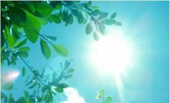  『梨树』梨树开花期需要的温度是多少？开花期遇到倒春寒如何提高坐果率？