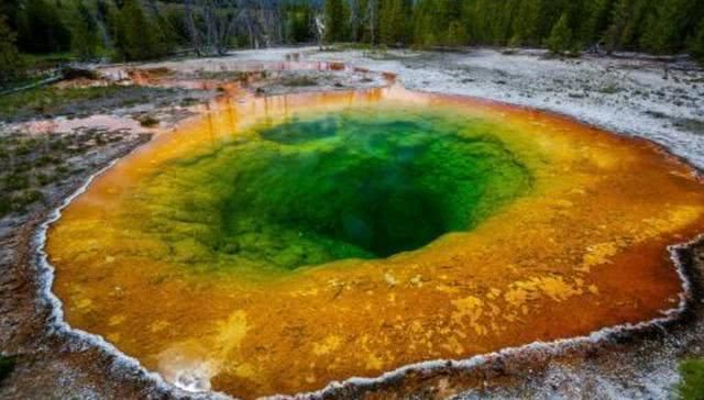 国内外景区价格对比，结果有点出人意料!国内景区应该反省下自己