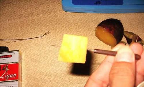 「健美」其实鲤鱼是个好东西,体态健美,野性十足
