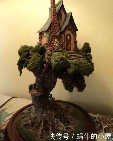 盆栽|她在盆栽上放了这个,家里瞬间活了起来!