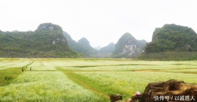 广西一处景点，被央视春晚点名，门票免费且一年四季景色各异