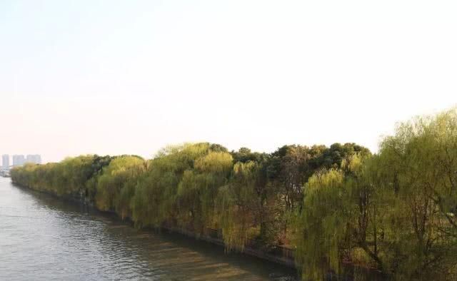 两条运河孕育、滋养出了桐乡这个千年风情古镇