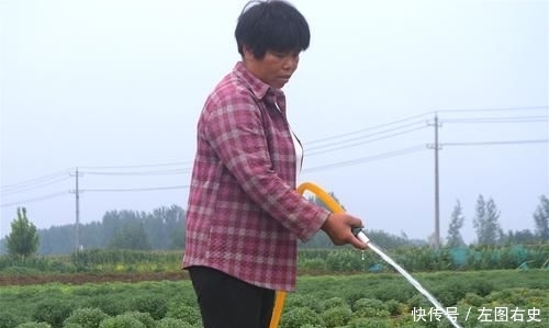  「年收入」农民种植特色作物20年，年收入近20万元，为啥年轻人