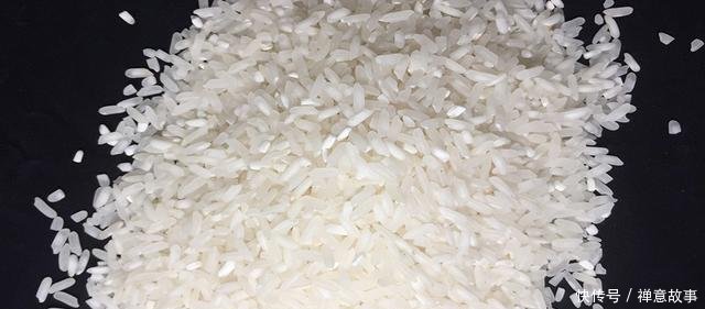  『钓友』看完这套教程，钓鱼酒米以后不用买了，在家就能做出来