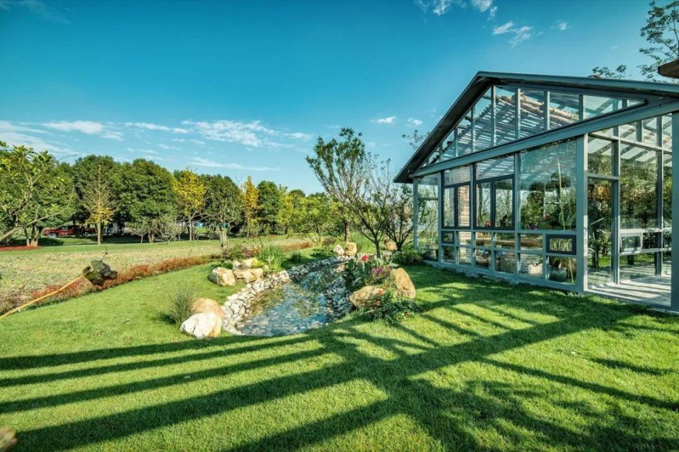  【宋卫】布局大湾区：宋卫平和他的理想小镇